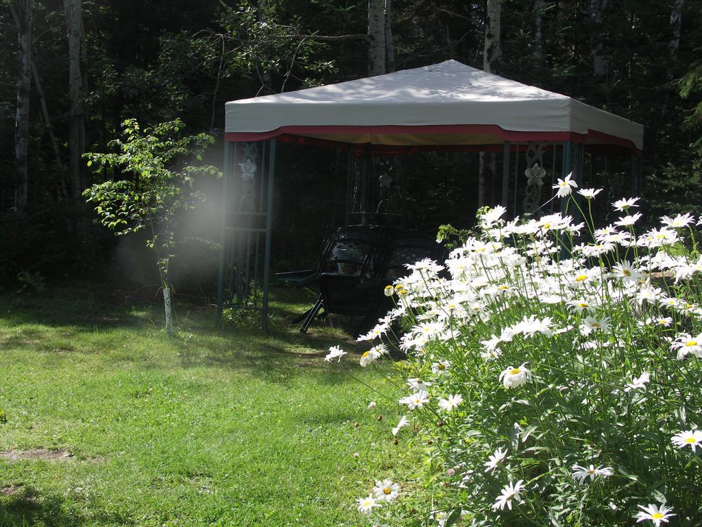 Bed & Breakfast Vieille Ecole Du Rang 3 Saint-Henri-de-Taillon