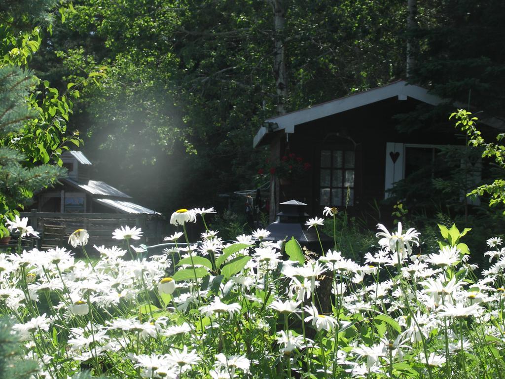 Bed & Breakfast Vieille Ecole Du Rang 3
